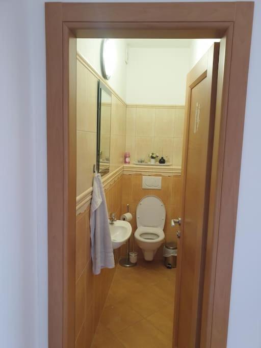 Mezonetovy Apartman V Centre Novej Dubnice Ilava Exterior foto